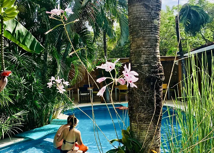 Resort: Ten North Tamarindo Beach Hotel