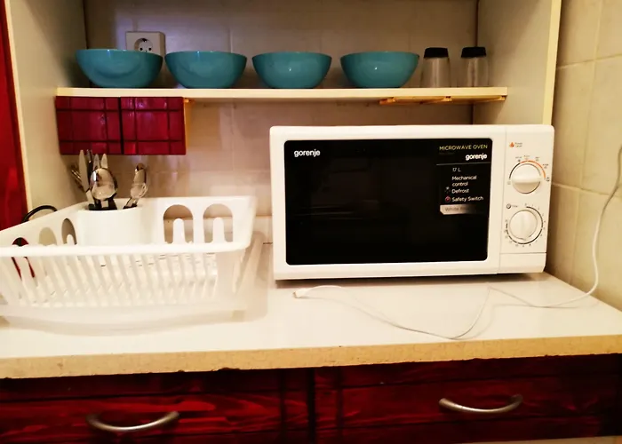 Hotel near College: Treestyle Hostel