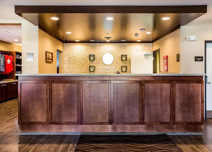 Beach hotel: Comfort Inn & Suites Niagara Falls Blvd Usa