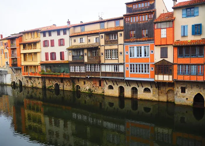 Hôtel accueillant les animaux: Brit Hotel Confort Castres