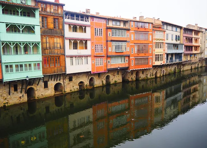 Hôtel accueillant les animaux: Brit Hotel Confort Castres