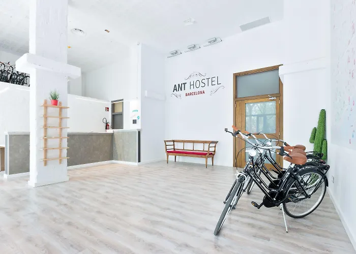 Pets Allowed Hotel Ant Barcelona