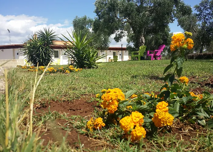 La villa: Agriturismo Terra D'Ulivi