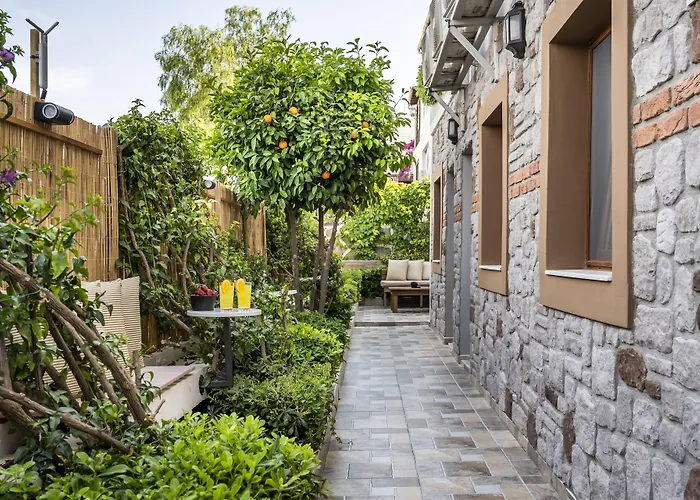  Poyz Bodrum