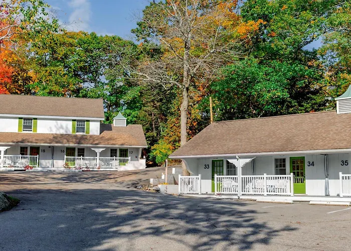 Pet Friendly hotel: The Lodge On The Cove