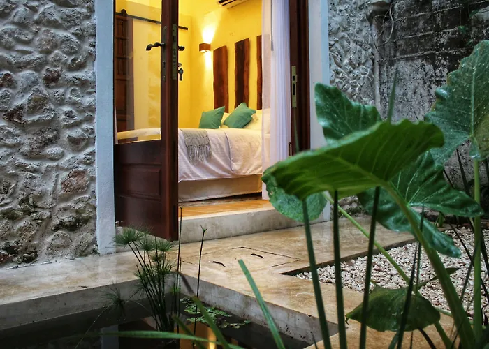 Resort: Verde Morada