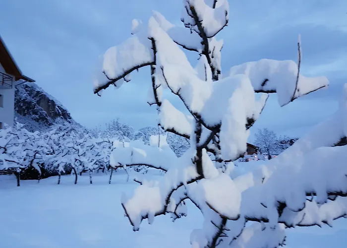 Casa vacanza: Agriturismo Florandonole