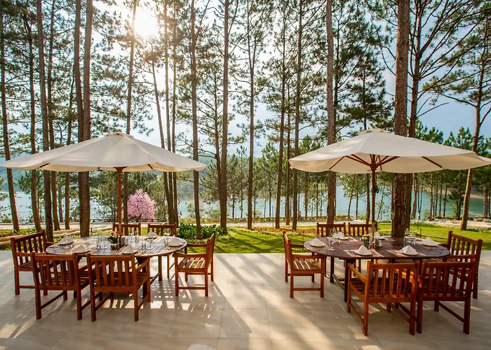 Cereja & Dalat