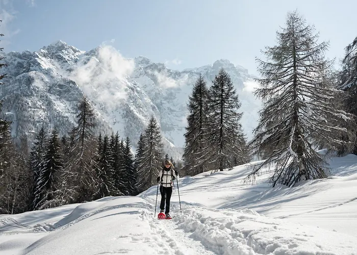 Hotel per sciatori: Residenza Albaré