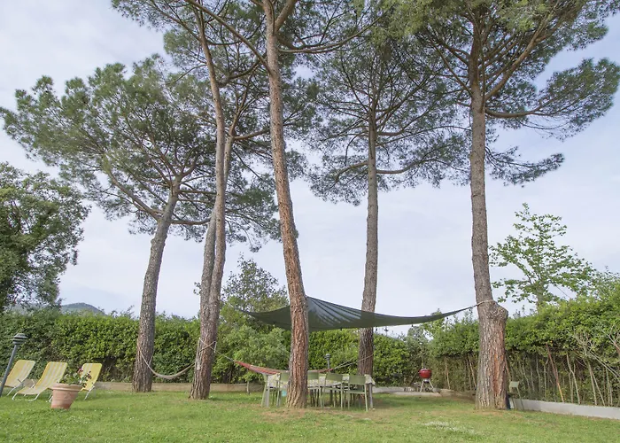 B&B Palazzi