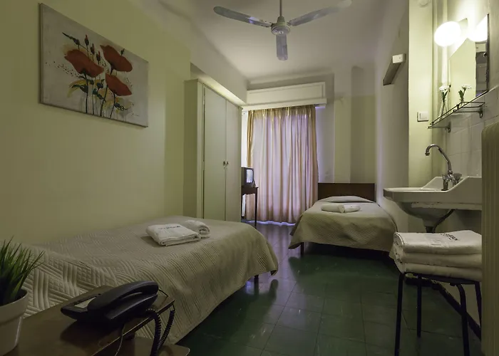 Pet Friendly hotel: Artemision
