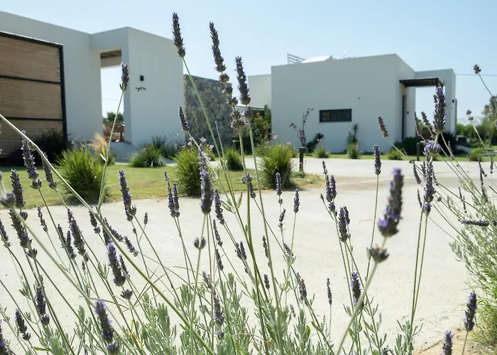  Aphrodite Luxury Suites With Private Heated Pools & Jacuzzis
