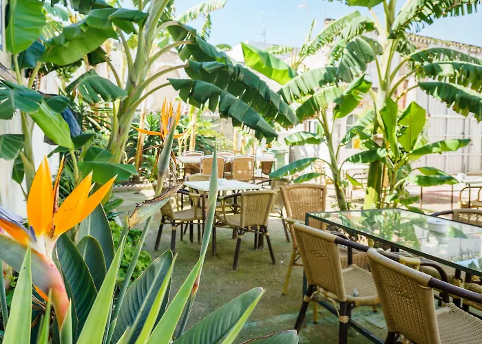 Perros hoteles Carlos V Jerez By Vivere Stays