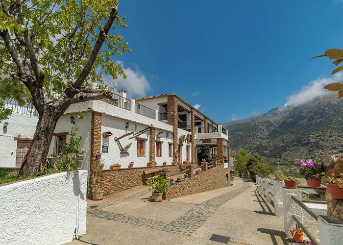 Hotel: Hotel La Fragua II