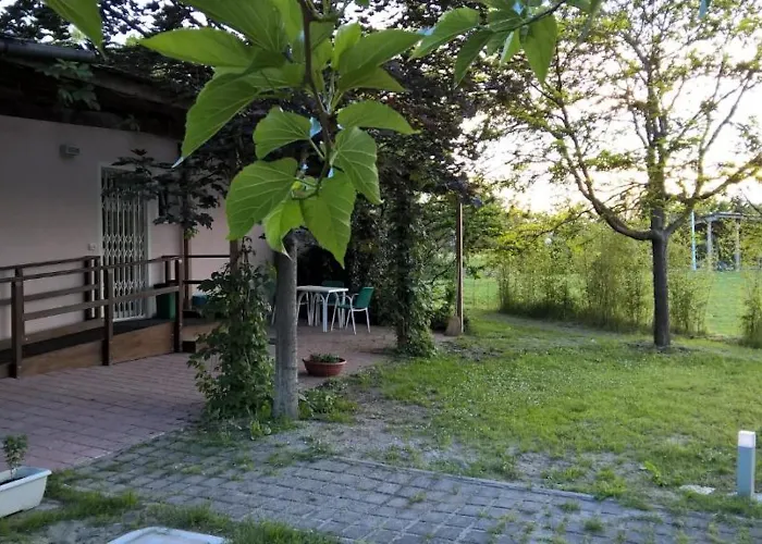 B&B: Rose Canine B&B