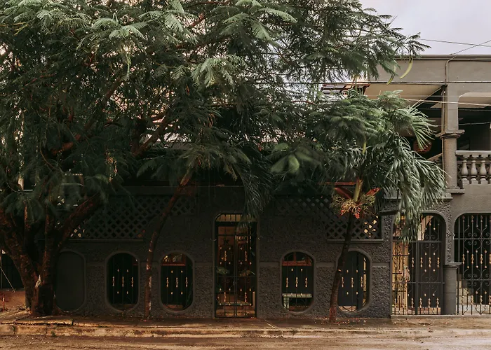 Hostel Shambalam