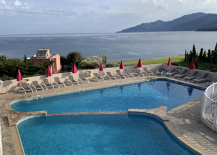 Hôtel accueillant les animaux: Hotel Bellevue