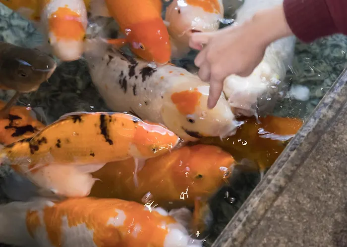 Arima Onsen Gekkoen Yugetsusanso