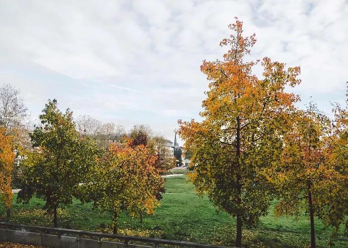 Hôtel accueillant les animaux: ibis Rouen Centre Rive Droite Pasteur