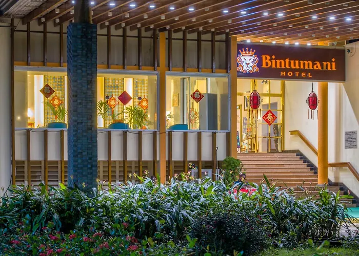 Ping Pong hotel: Bintumani