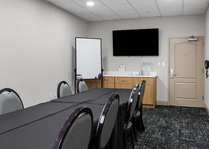 Pets Allowed Hotel Hampton Inn & Suites Tampa-Wesley Chapel