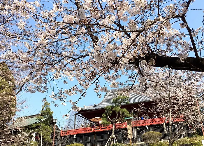 Hotel Mystays Ueno East