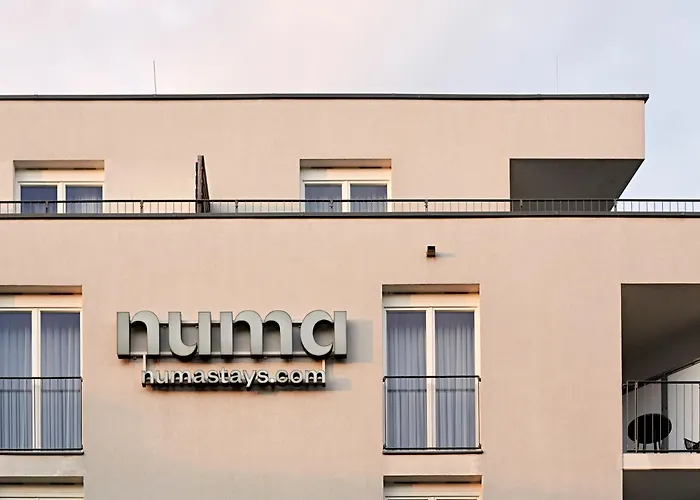 Numa Berlin Boxer