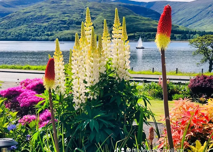 All Vacation Rentals Hillview Guest House