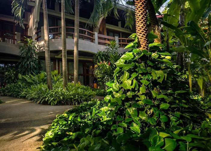 Capitan Suizo Beachfront Boutique