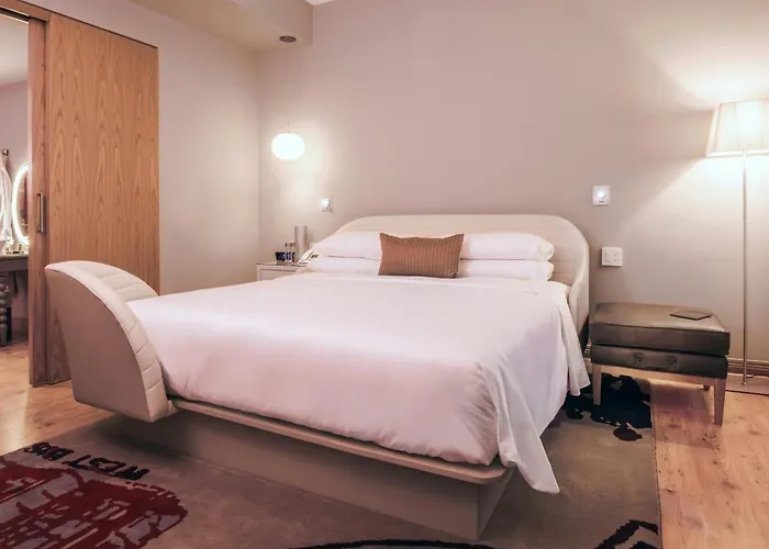Pet Friendly hotel: Sports Illustrated Resorts Chicago