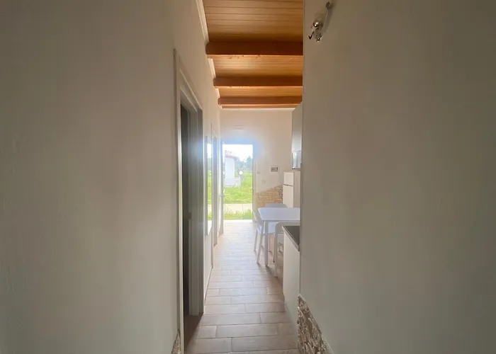 Risa Apulia
