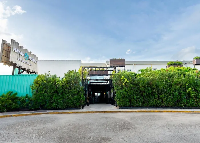 Mayan Monkey Cancun - Social (Adults Only)