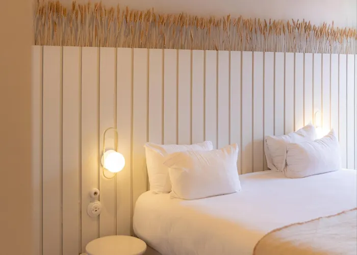 Hôtel accueillant les animaux: Hotel M Soleil - Montpellier Centre Saint Roch