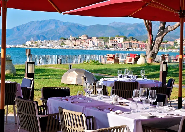 Hôtel accueillant les animaux: Hôtel La Roya