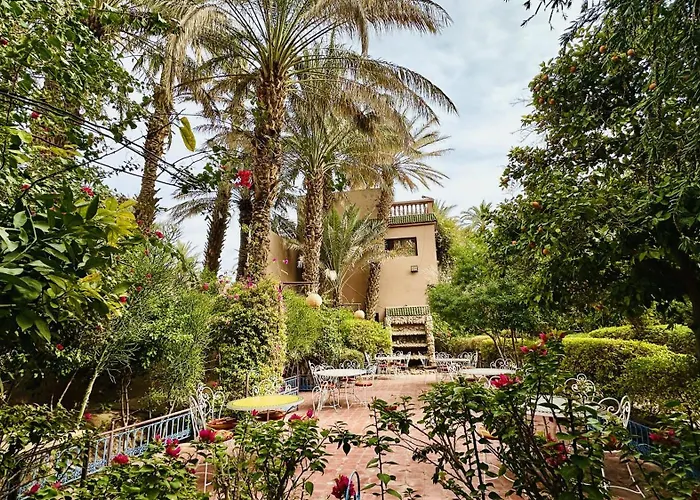 Central hotel: Chez Ali Zagora Authentic Hotel Restaurant And Desert Excursions