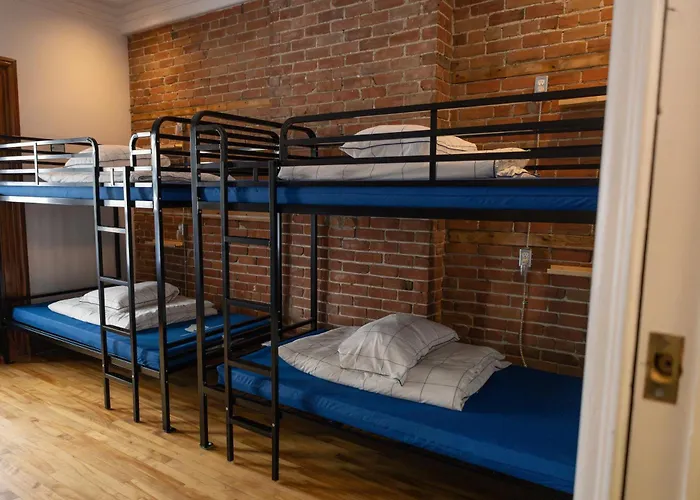 The Hostels Auberge Le Treehouse