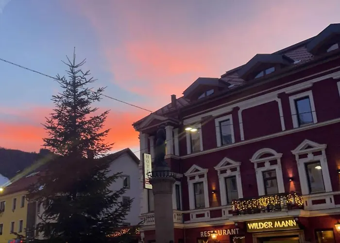Hotel Wilder Mann