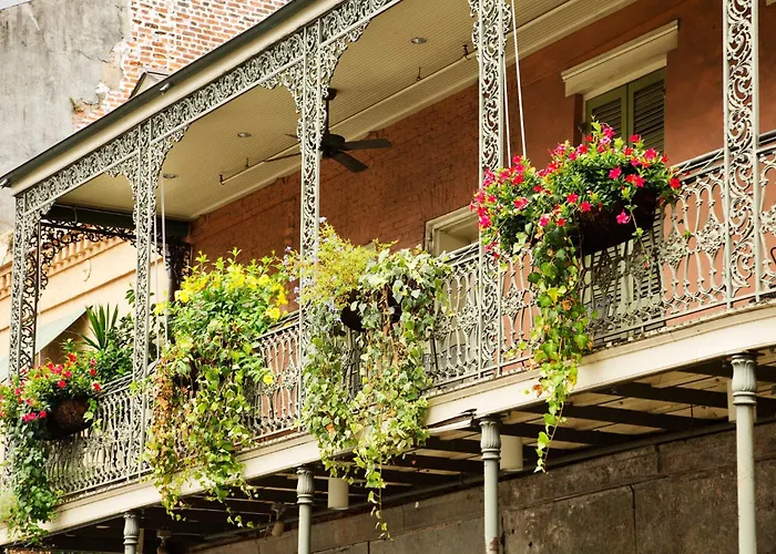 Cheap hotels Indigo New Orleans - French Quarter By Ihg
