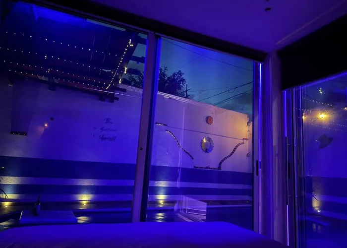 Hotel que admite mascotas: Cancún Hotel Boutique&Hostel