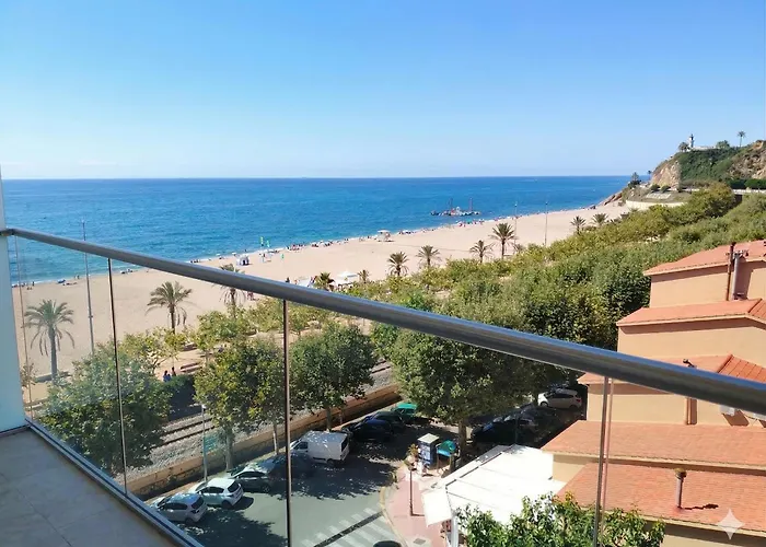 Huisdiervriendelijk hotel: Hotel Internacional