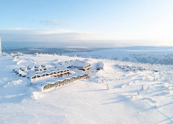 Star Arctic & Activities