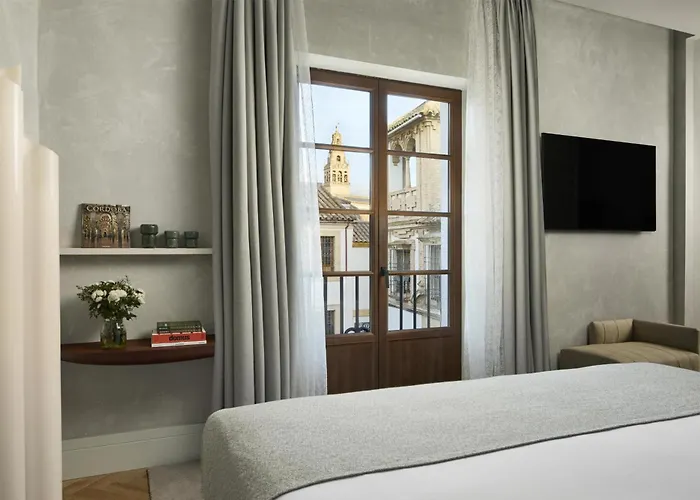 Hotel que admite mascotas: NH Collection Amistad Córdoba