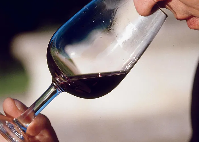 Hôtel accueillant les animaux: Mercure Nevers Pont De Loire