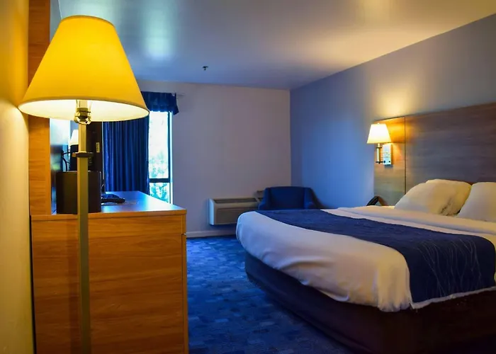 Romantic hotel: Comfort Inn Bellingham