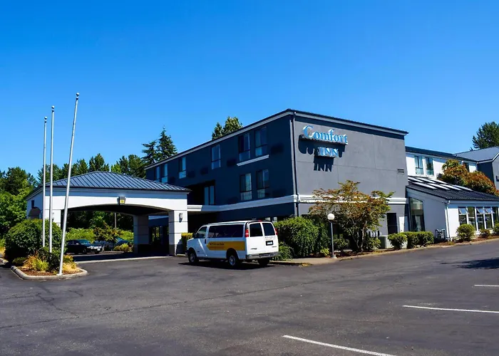 Comfort Bellingham