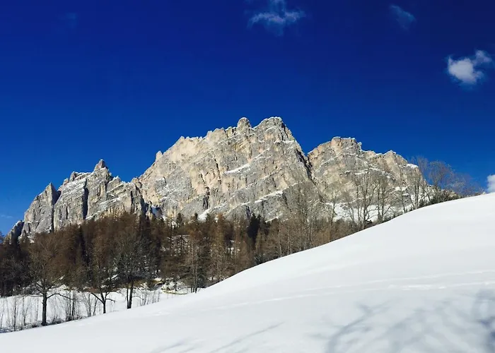 Golf hotel: Hotel Trieste