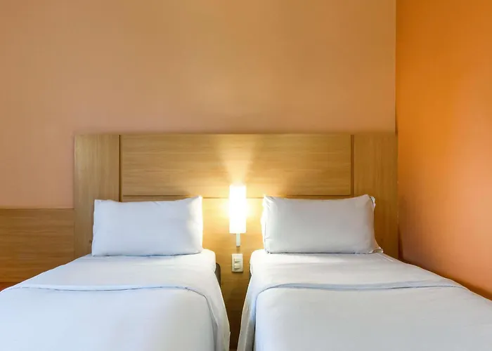 Hôtel accueillant les animaux: ibis Strasbourg Centre Historique