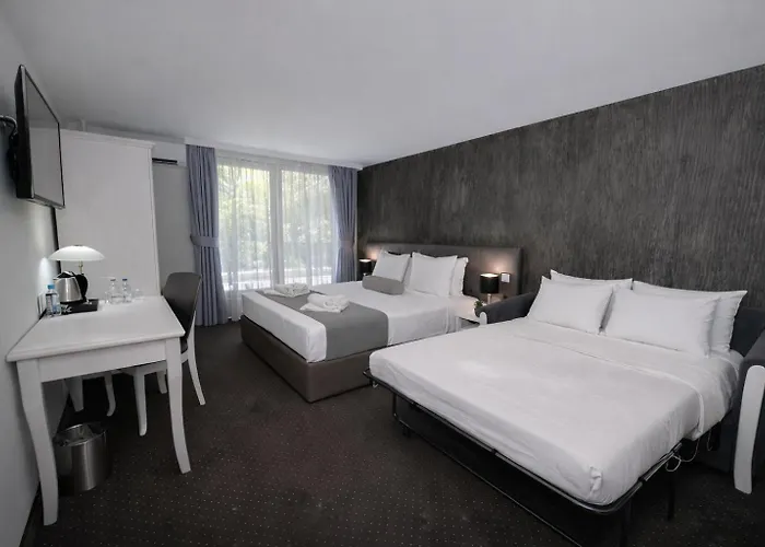 Hotel Alexandar II