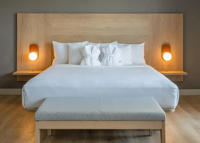 Luxury hotel only: Norwood Hotel