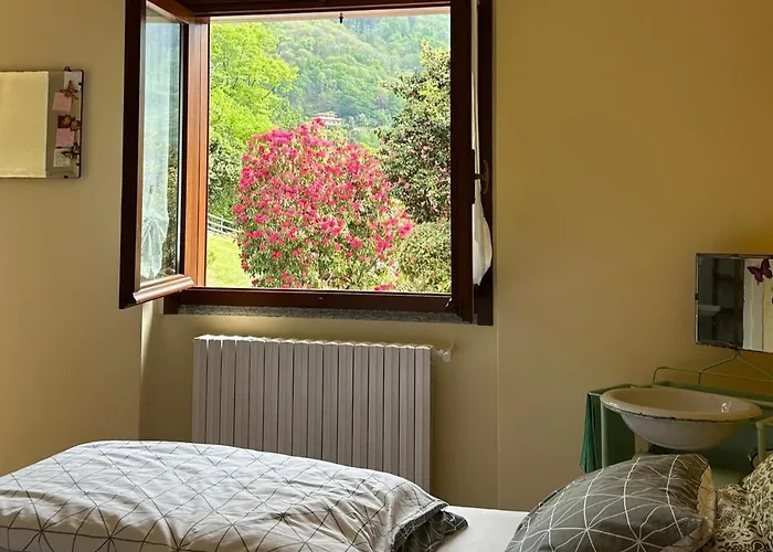  Il Picchio